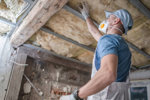 Best Insulation for Specific Applications in Ojai, CA